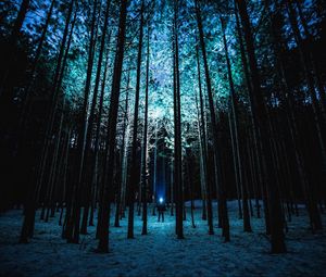 Preview wallpaper man, night, forest, light, trees