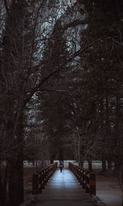 Preview wallpaper man, park, walk, trees