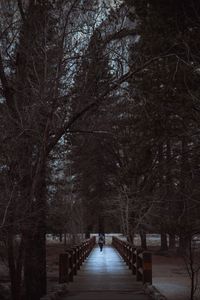 Preview wallpaper man, park, walk, trees