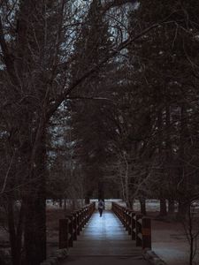 Preview wallpaper man, park, walk, trees