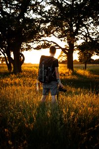 Preview wallpaper man, photographer, trees, rays, sun