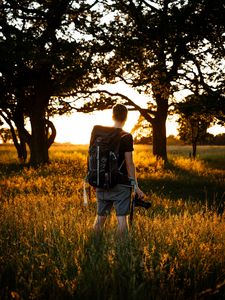 Preview wallpaper man, photographer, trees, rays, sun