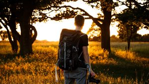 Preview wallpaper man, photographer, trees, rays, sun