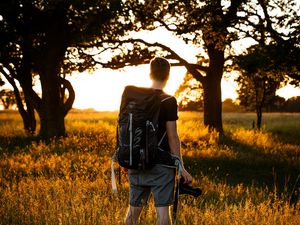 Preview wallpaper man, photographer, trees, rays, sun