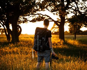 Preview wallpaper man, photographer, trees, rays, sun