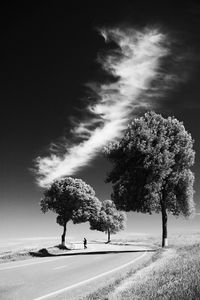 Preview wallpaper man, road, bw, loneliness, trees