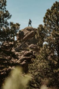 Preview wallpaper man, rock, trees, stones, height