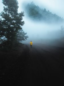 Preview wallpaper man, run, alone, fog, nature