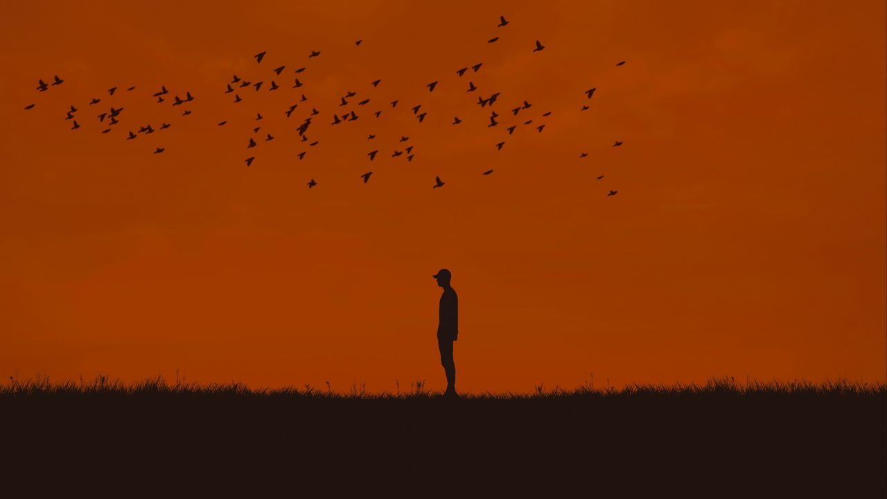 Wallpaper man, silhouette, birds