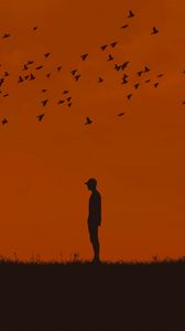 Preview wallpaper man, silhouette, birds