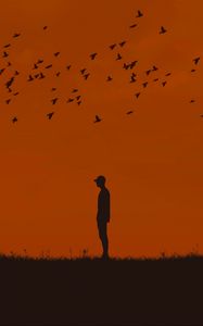 Preview wallpaper man, silhouette, birds