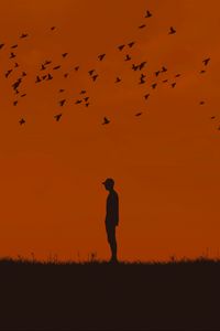 Preview wallpaper man, silhouette, birds