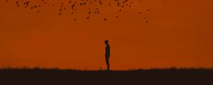 Preview wallpaper man, silhouette, birds
