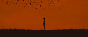 Preview wallpaper man, silhouette, birds