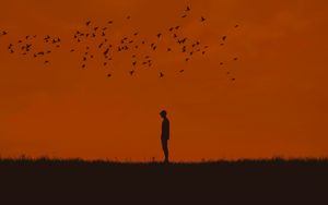 Preview wallpaper man, silhouette, birds