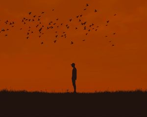 Preview wallpaper man, silhouette, birds