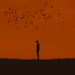 Preview wallpaper man, silhouette, birds