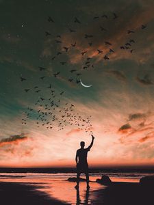 Preview wallpaper man, silhouette, birds, shore, sea, sky, horizon