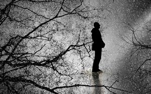 Preview wallpaper man, silhouette, branches, rain, bw