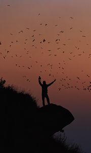 Preview wallpaper man, silhouette, rock, birds, dark