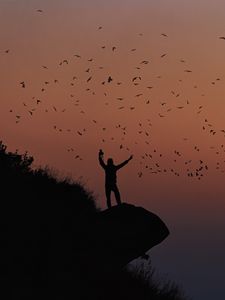 Preview wallpaper man, silhouette, rock, birds, dark