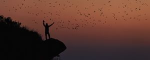 Preview wallpaper man, silhouette, rock, birds, dark