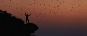 Preview wallpaper man, silhouette, rock, birds, dark