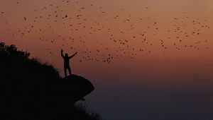 Preview wallpaper man, silhouette, rock, birds, dark