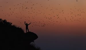 Preview wallpaper man, silhouette, rock, birds, dark