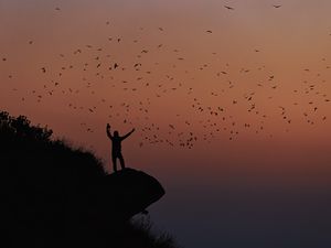 Preview wallpaper man, silhouette, rock, birds, dark