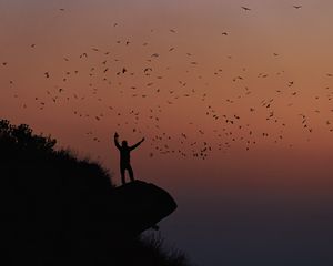 Preview wallpaper man, silhouette, rock, birds, dark