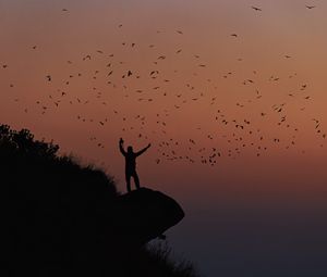 Preview wallpaper man, silhouette, rock, birds, dark