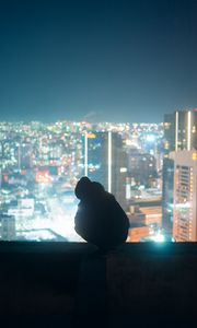 Preview wallpaper man, silhouette, roof, city, lights, dark