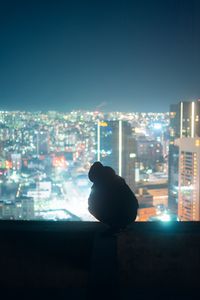 Preview wallpaper man, silhouette, roof, city, lights, dark