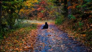 Preview wallpaper man, silhouette, trail, leaves, autumn, trees, alone