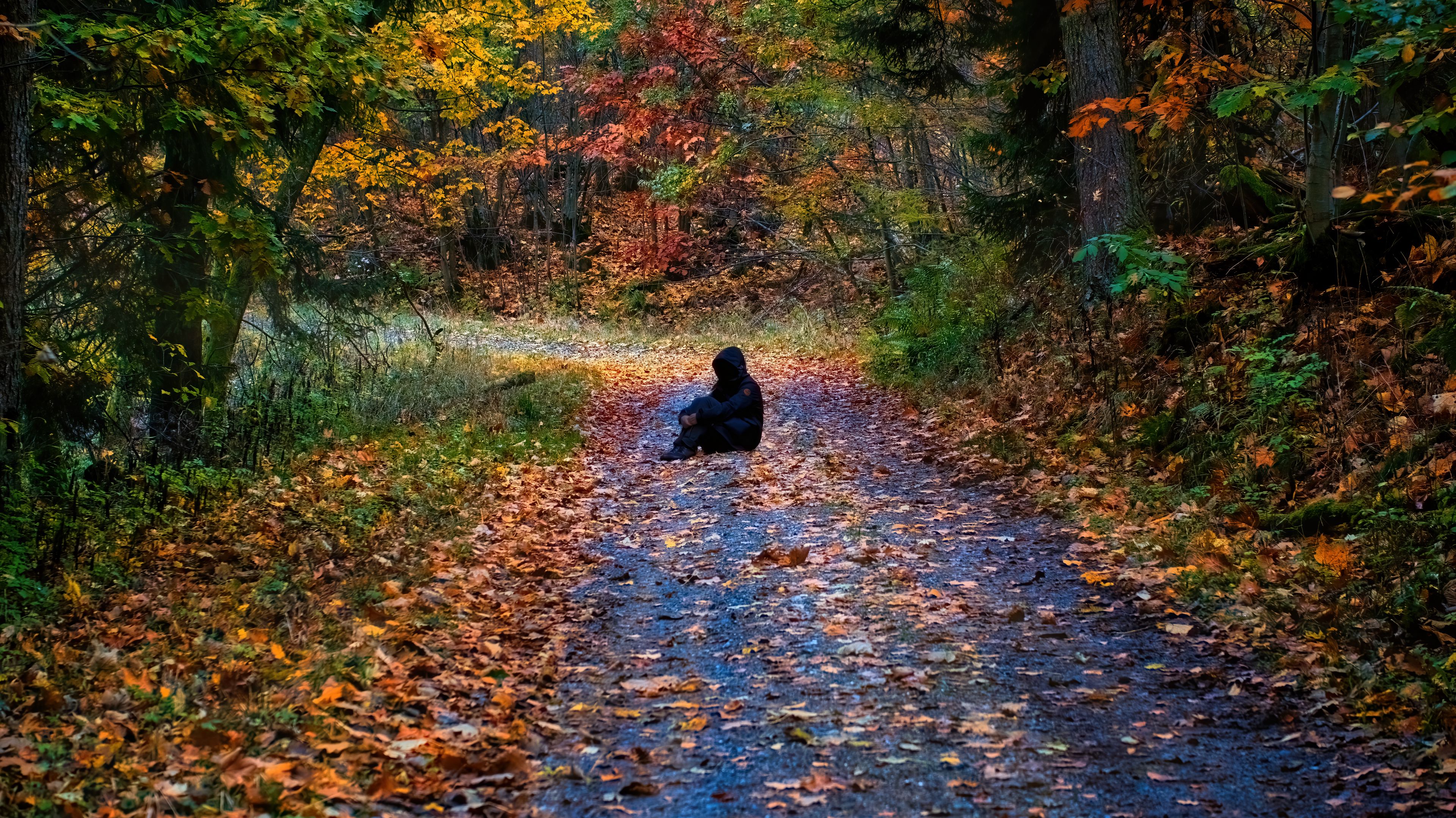 Leave a trail. Человек в осеннем лесу. Рыцарь в осеннем лесу. Обои для одиноких. Облетевшие листья на тропе.