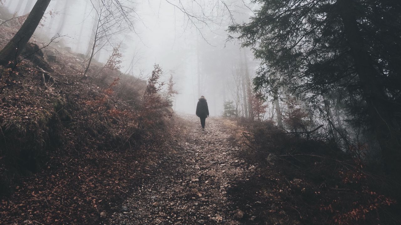 Wallpaper man, silhouette, trail, forest, fog, alone