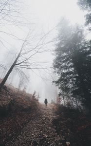 Preview wallpaper man, silhouette, trail, forest, fog, alone