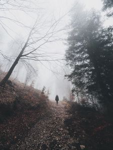 Preview wallpaper man, silhouette, trail, forest, fog, alone