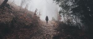 Preview wallpaper man, silhouette, trail, forest, fog, alone