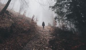 Preview wallpaper man, silhouette, trail, forest, fog, alone