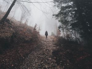 Preview wallpaper man, silhouette, trail, forest, fog, alone