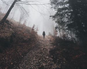 Preview wallpaper man, silhouette, trail, forest, fog, alone