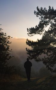 Preview wallpaper man, silhouette, tree, fog, twilight, nature