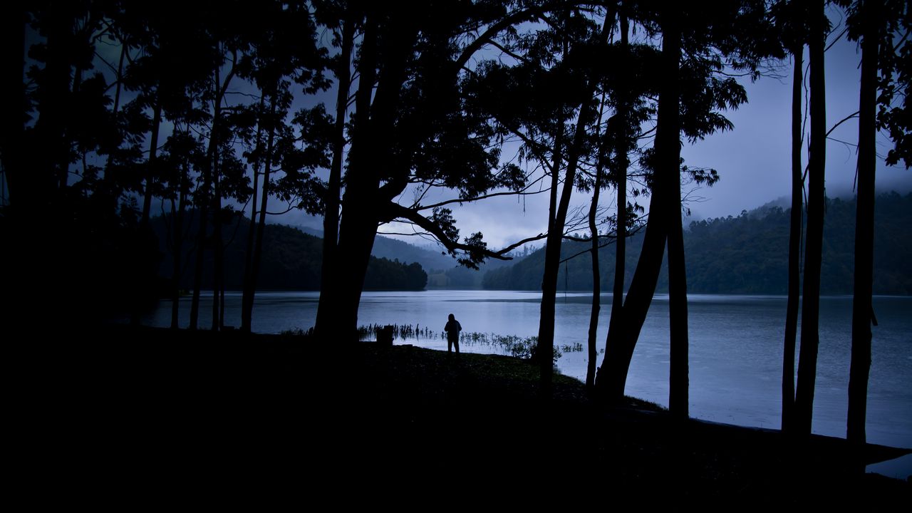 Wallpaper man, silhouette, trees, lake, solitude, alone