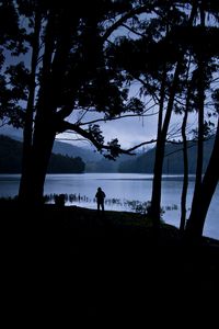 Preview wallpaper man, silhouette, trees, lake, solitude, alone