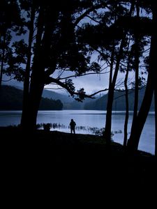 Preview wallpaper man, silhouette, trees, lake, solitude, alone