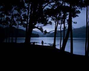 Preview wallpaper man, silhouette, trees, lake, solitude, alone