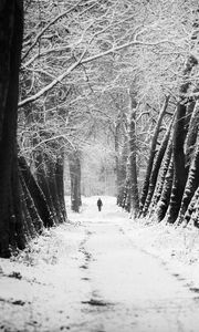 Preview wallpaper man, silhouette, trees, snow, alone, nature