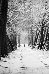 Preview wallpaper man, silhouette, trees, snow, alone, nature